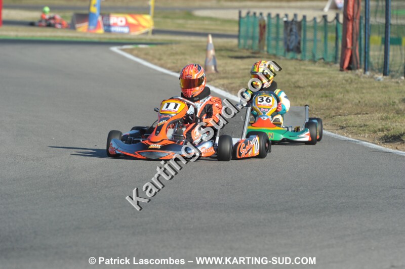 DSC_ (1466).JPG